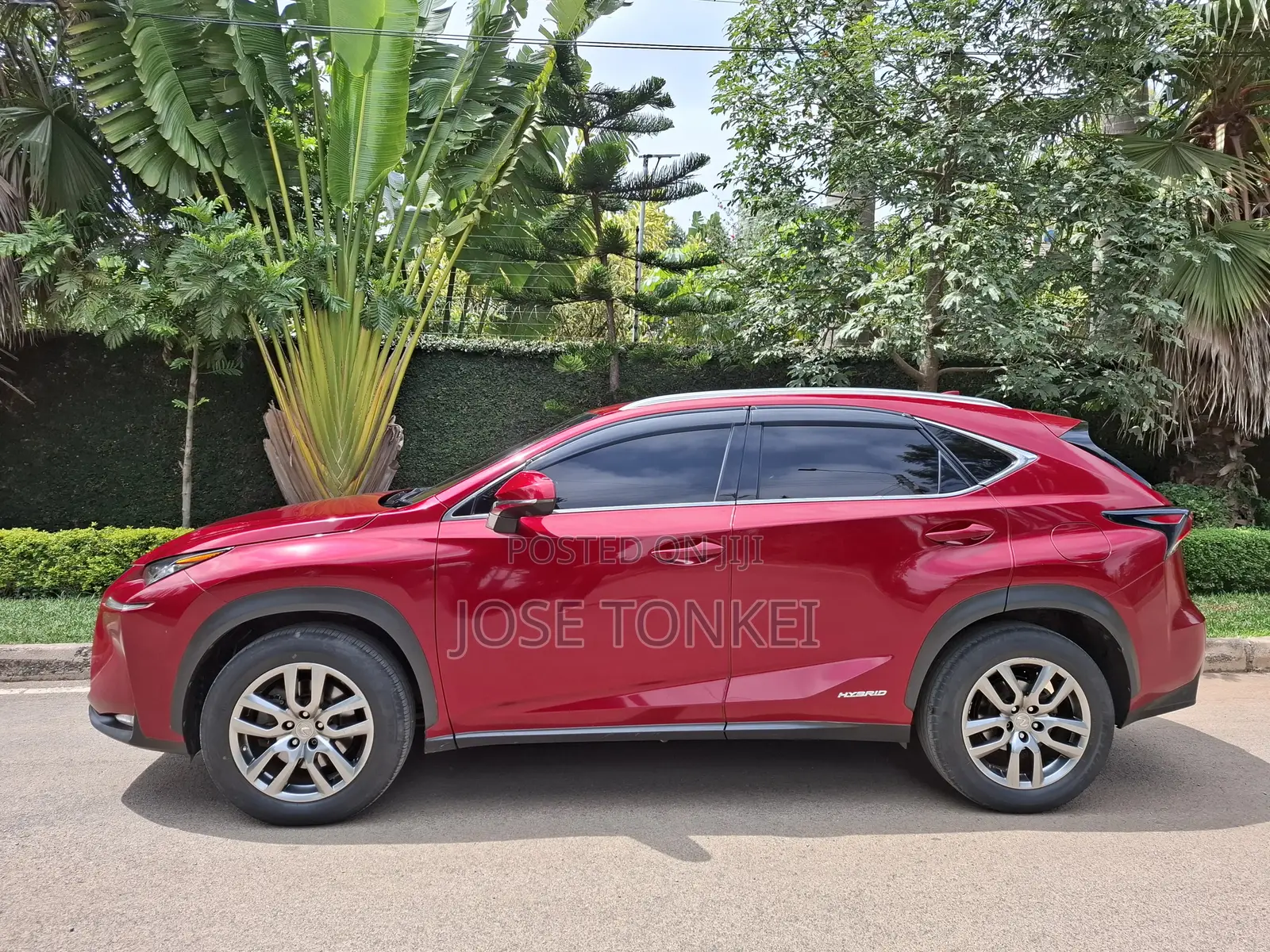 Lexus NX 300h FWD 2016 Red