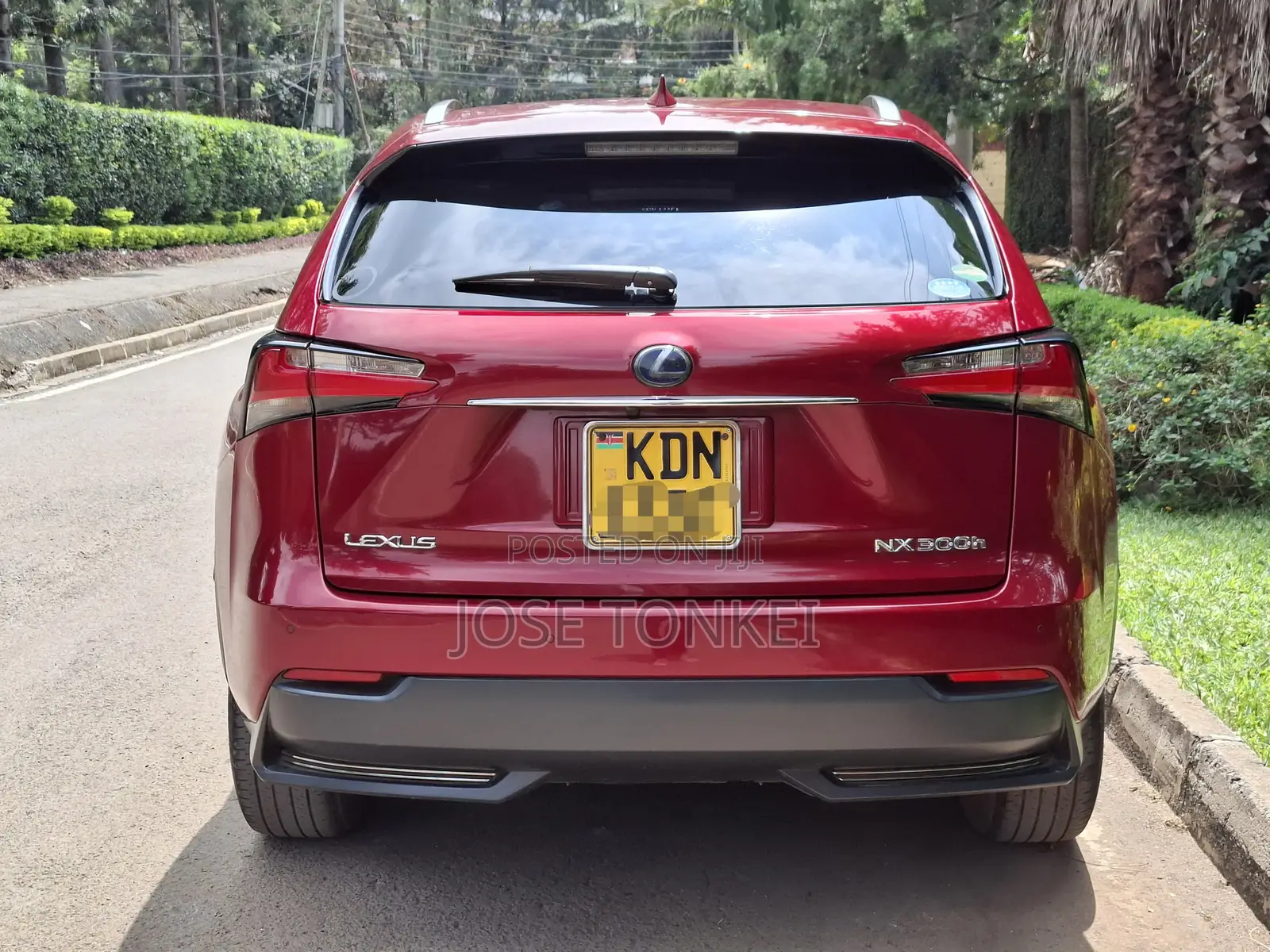 Lexus NX 300h FWD 2016 Red