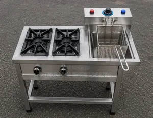 Customized 2-Burner Cooker +Single Fryer