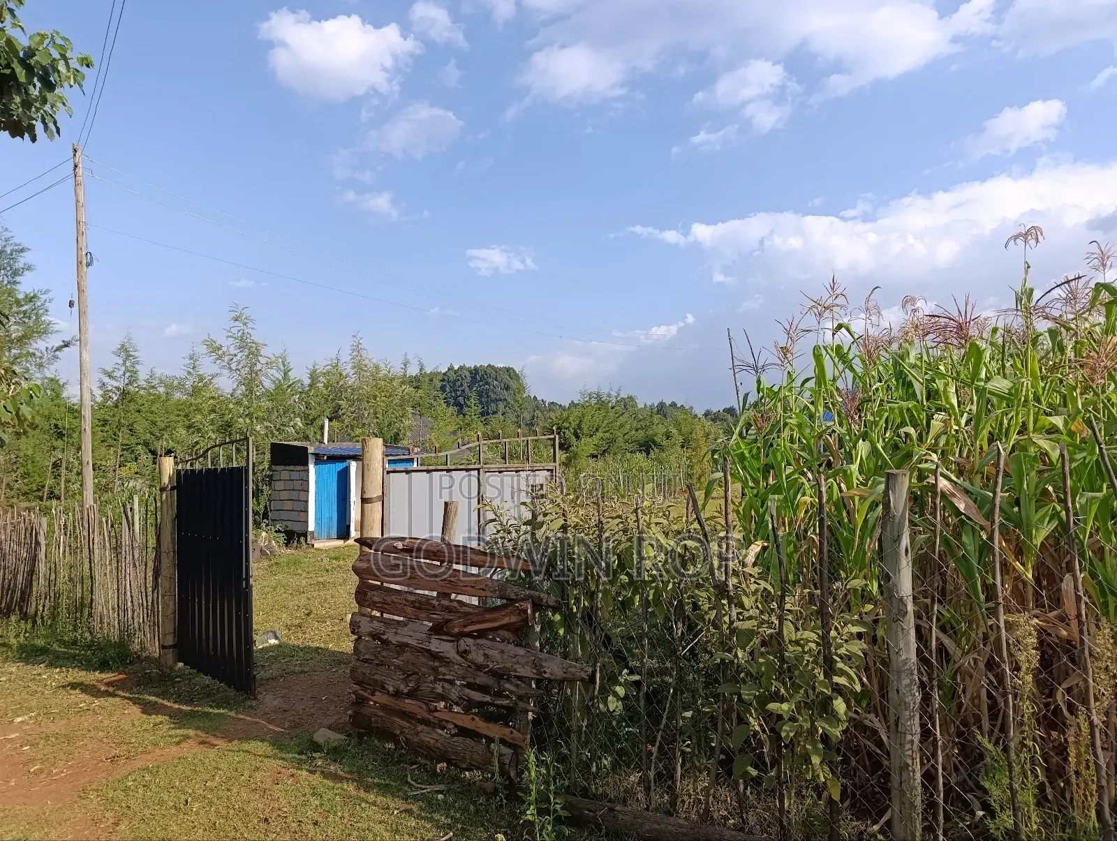 3 (1⁄8) for Sale in Kapsaret Lemook.