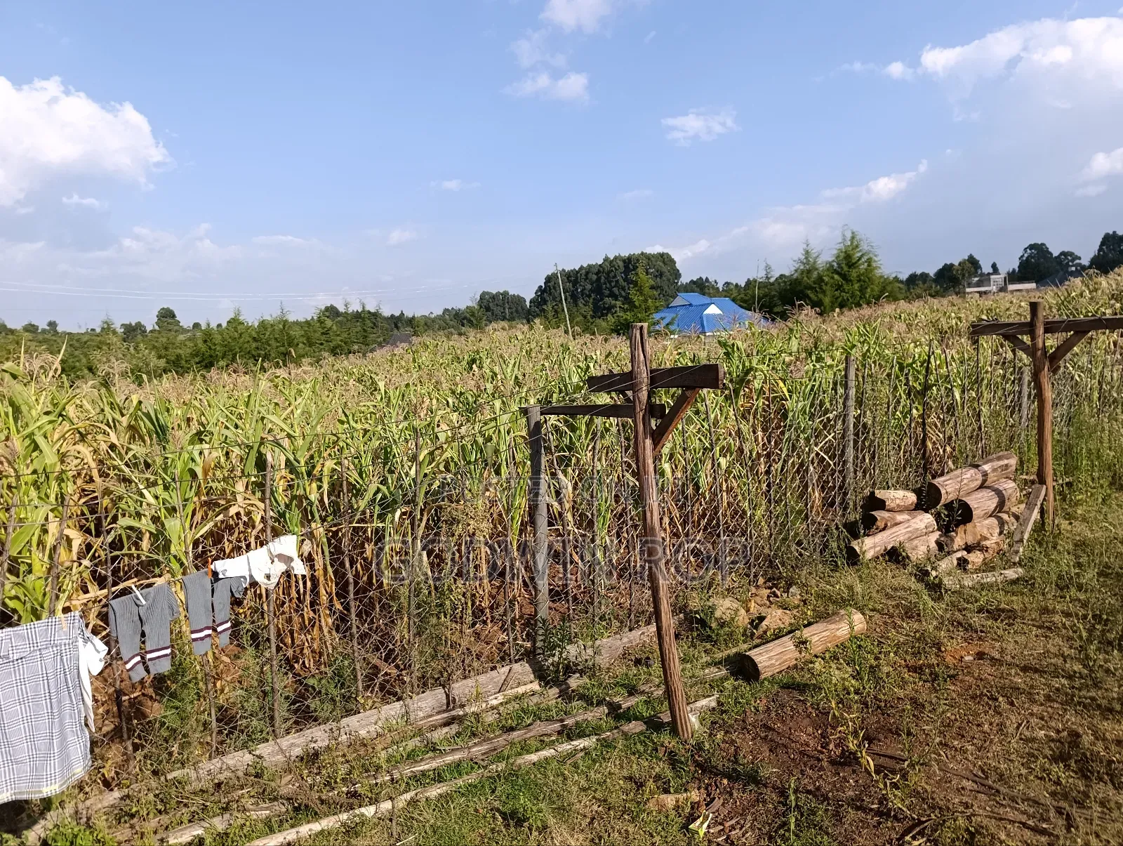3 (1⁄8) for Sale in Kapsaret Lemook.