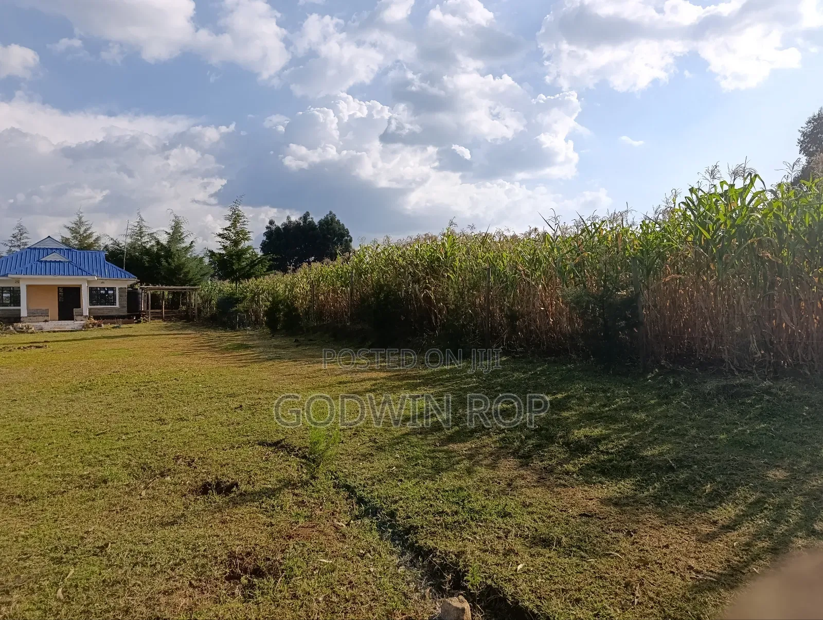 3 (1⁄8) for Sale in Kapsaret Lemook.
