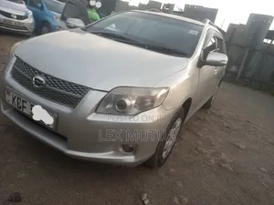 Toyota Corolla Fielder 2008 Silver