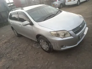 Toyota Corolla Fielder 2008 Silver