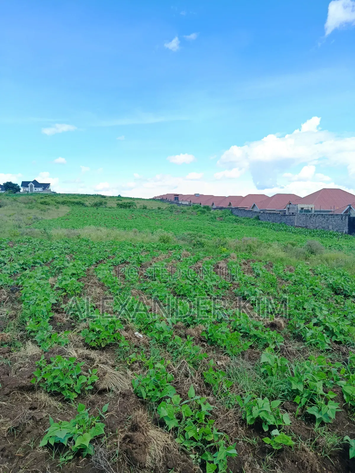 Ruiru-Githunguri Road Residential 1Acre