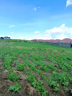 Ruiru-Githunguri Road Residential 1Acre