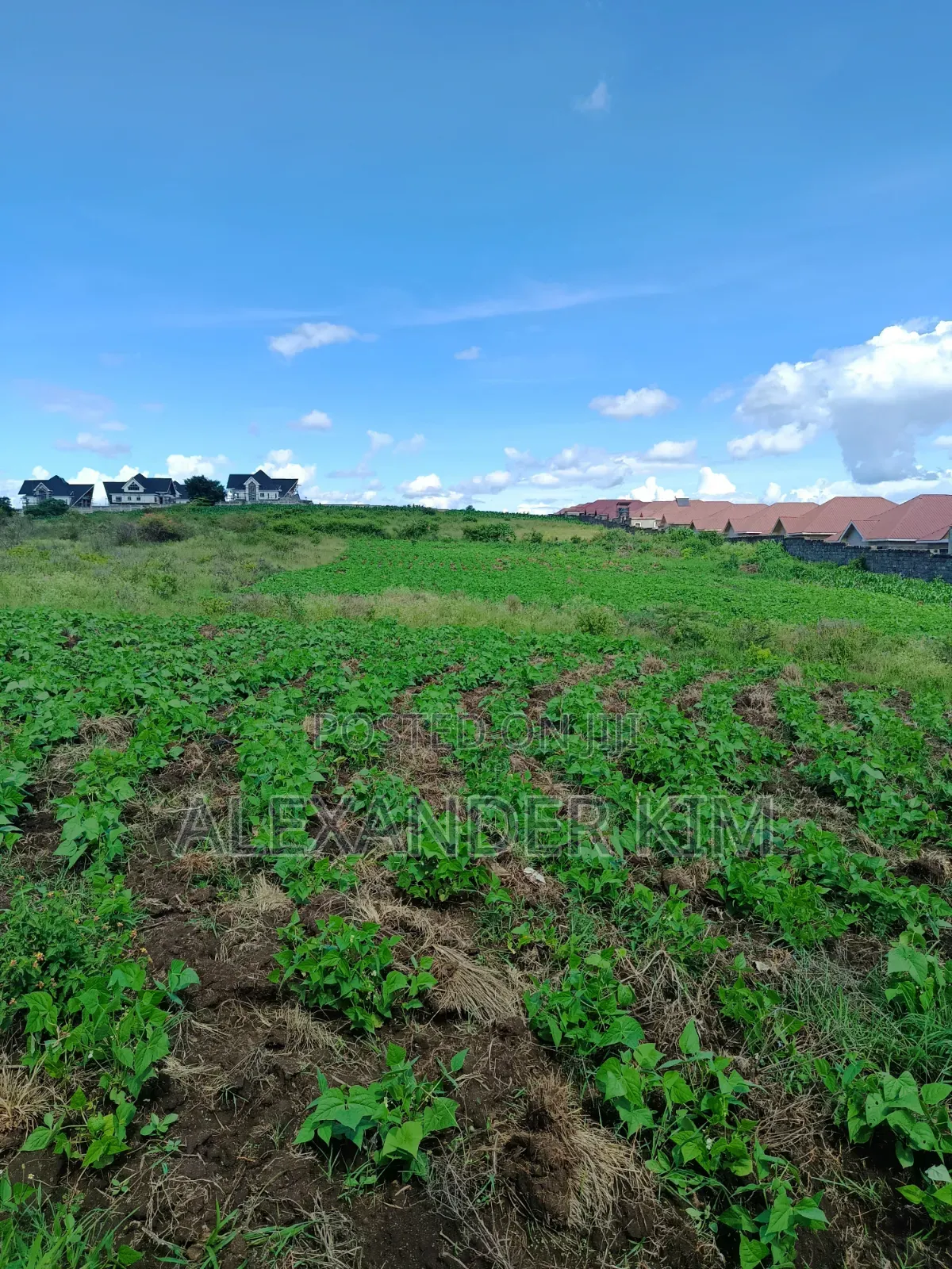 Ruiru-Githunguri Road Residential 1Acre