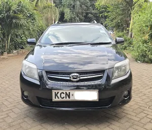 Toyota Corolla Fielder 2010 Black
