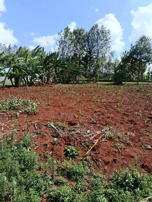 Ruiru-Mugutha Residential 1Acre