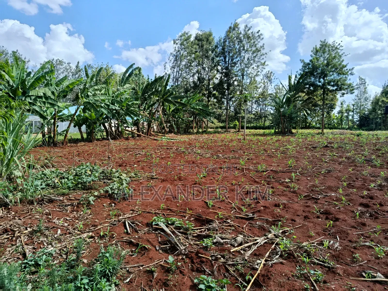 Ruiru-Mugutha Residential 1Acre