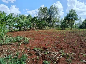 Ruiru-Mugutha Residential 1Acre