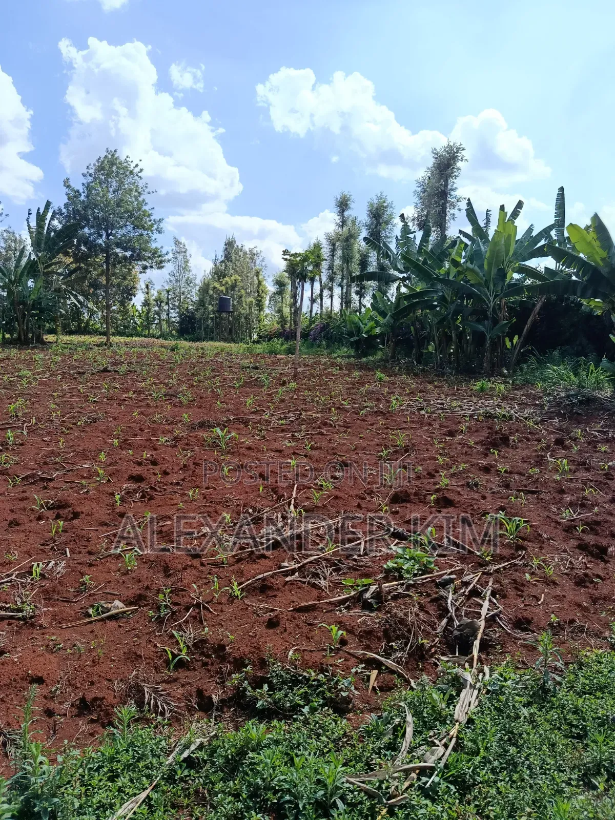 Ruiru-Mugutha Residential 1Acre