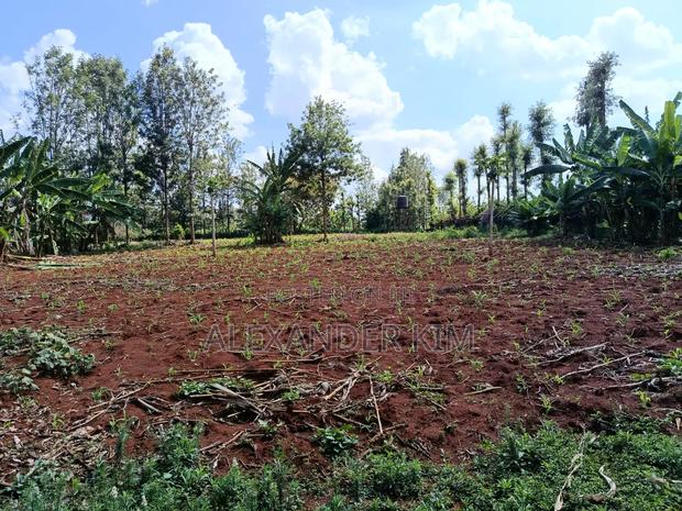 Ruiru-Mugutha Residential 1Acre - thumbnail 6