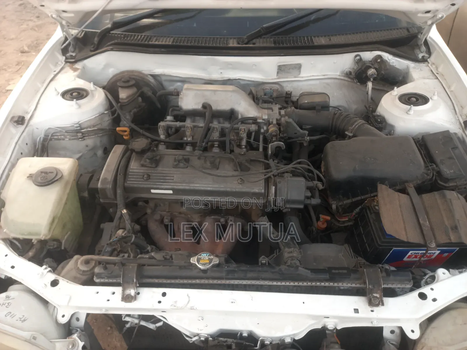 Toyota Corolla 1999 White