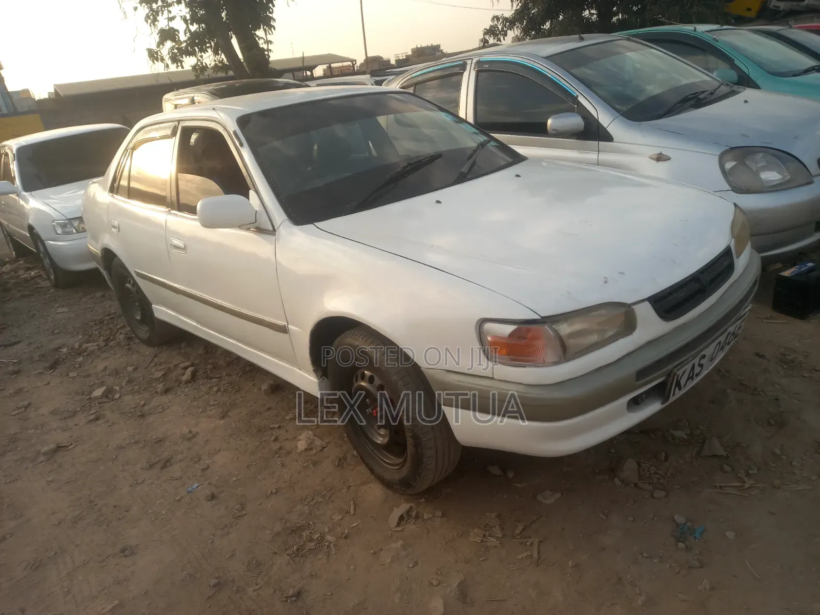 Toyota Corolla 1999 White