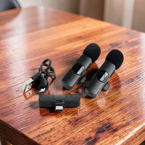 Reliable Performance Mini Lapel Lavalier Dual Wireless Microphone