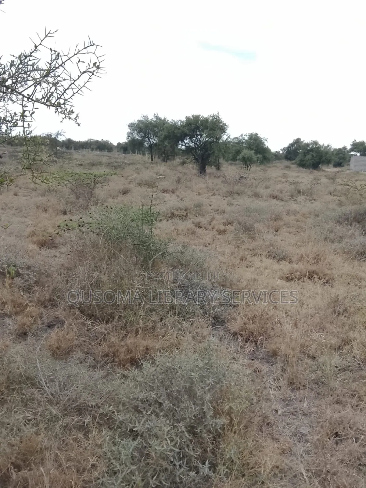  Prime 50x100 Plots in Kitengela Rangers – KSH 1.29m Each