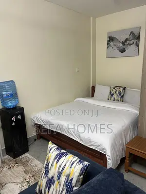 Modern Furnished Studio Airbnb in Ruaka Joyland