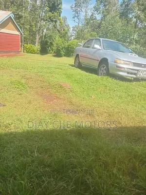 Toyota Corona 2002 Blue
