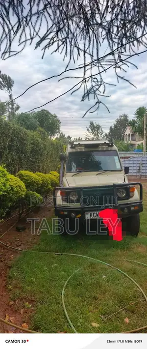 Toyota Land Cruiser 79 Series 2002 Beige