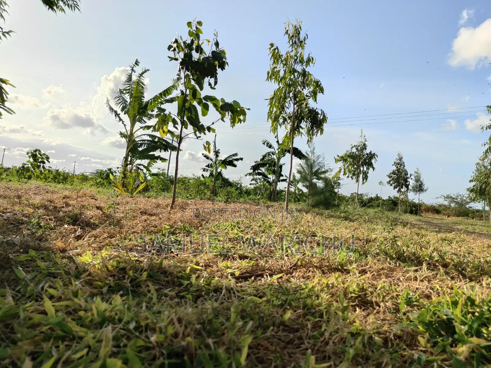 5 Acre Prime Property Marafa Malindi