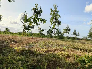 5 Acre Prime Property Marafa Malindi