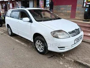 Toyota Corolla Fielder 2004 White
