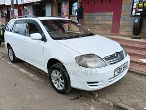 Toyota Corolla Fielder 2004 White