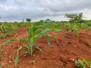 Prime 50x100 Plot for Sale in Matuu