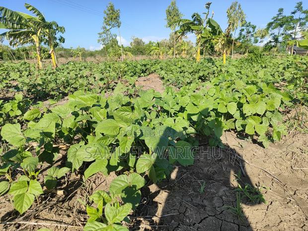 Prime 50x100 Plot for Sale in Matuu - thumbnail 3