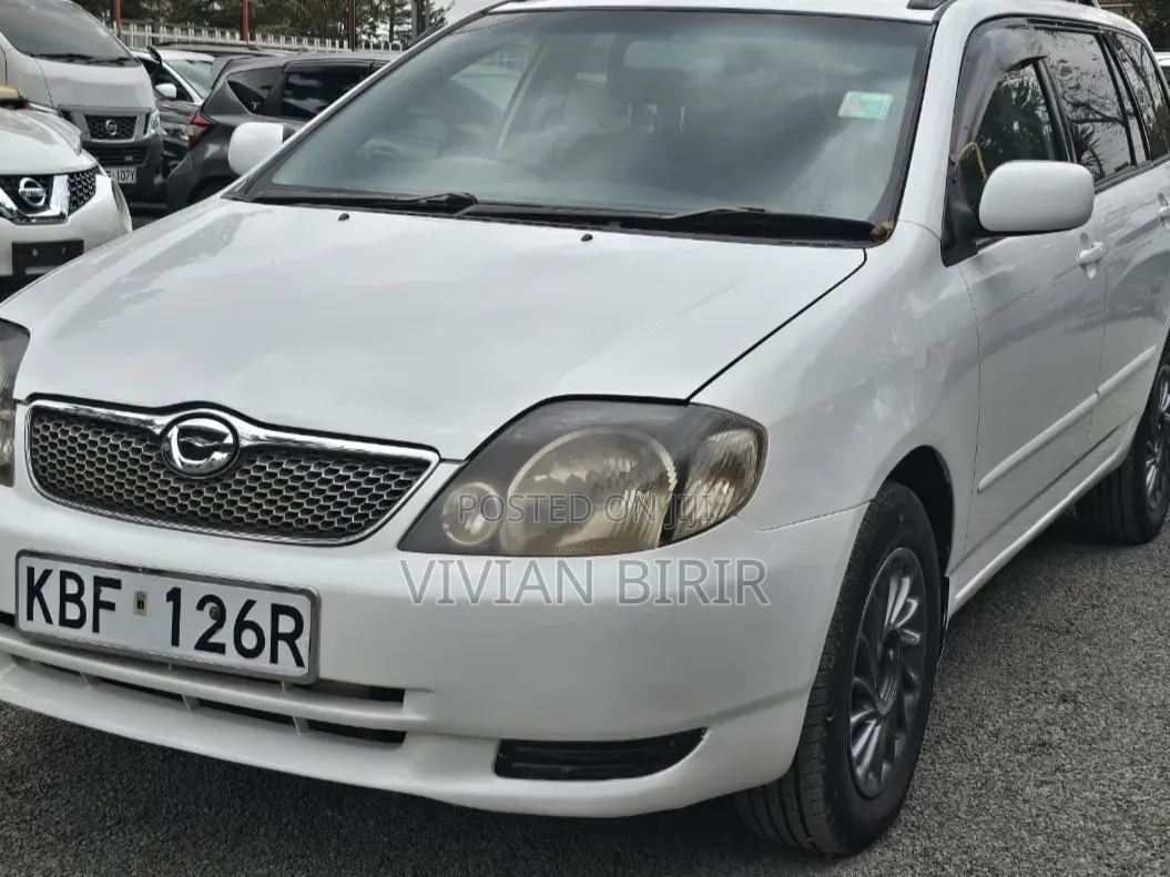 Toyota Corolla Fielder 2002 Silver
