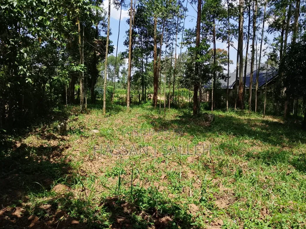 1/2an Acre Bungoma