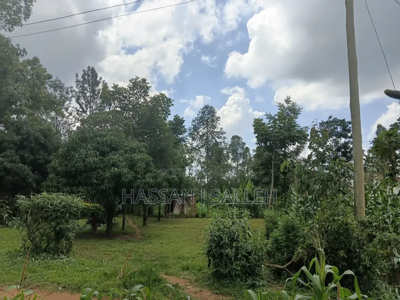 1/2an Acre Bungoma