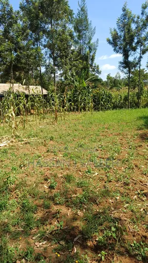 5.5acres Mumias on Sale