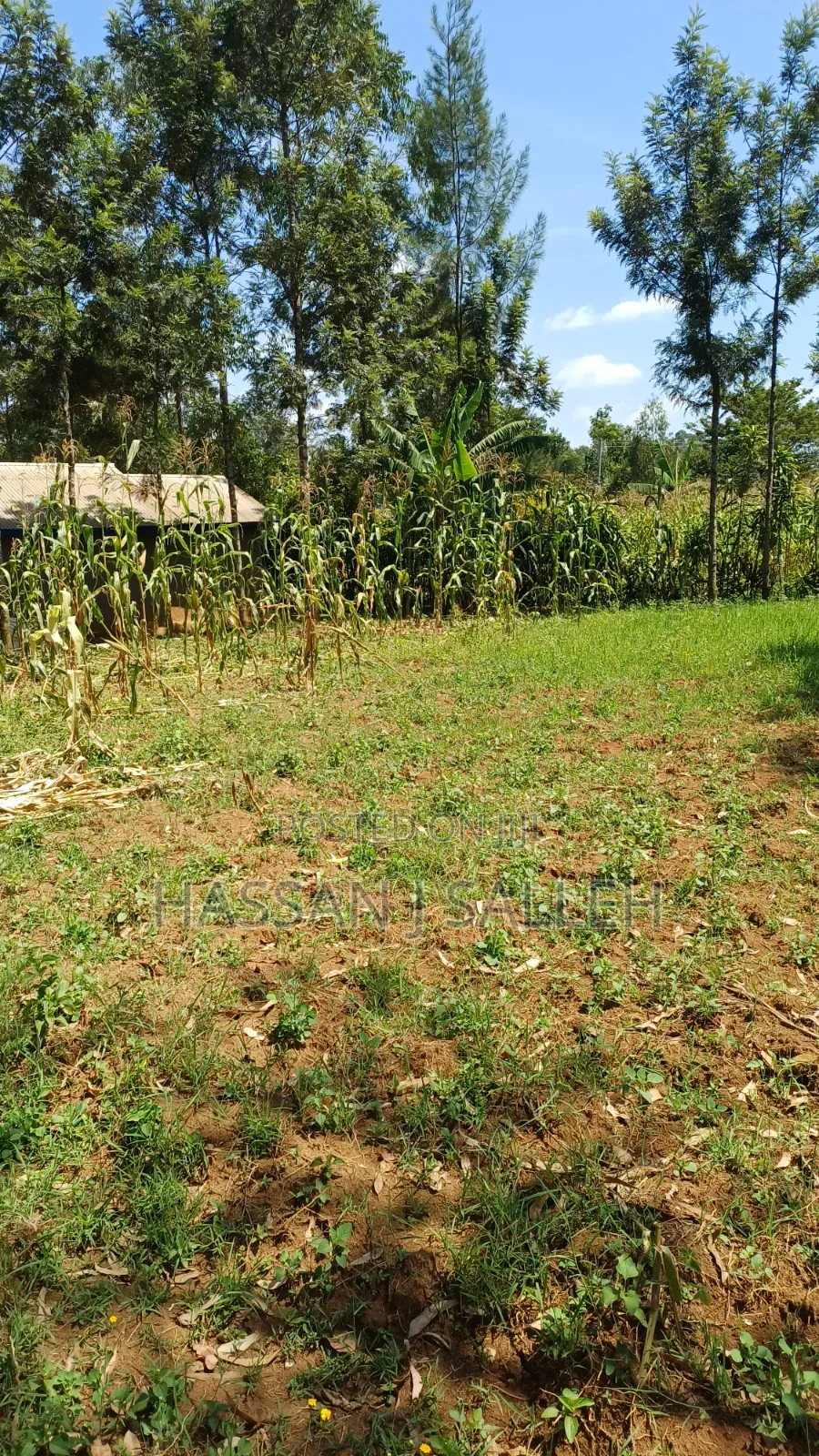 5.5acres Mumias on Sale