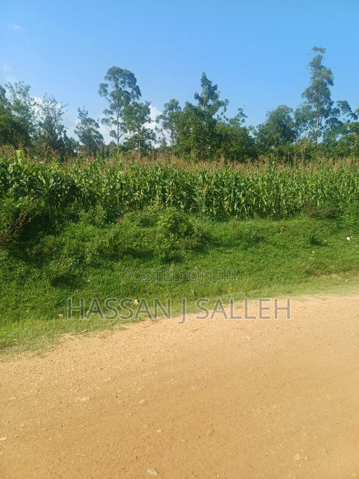 100fts by 100fts Plot 4 SALE.