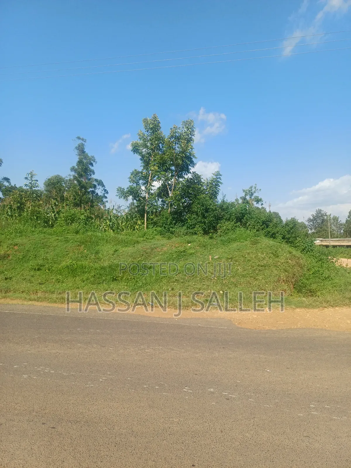 100fts by 100fts Plot 4 SALE.