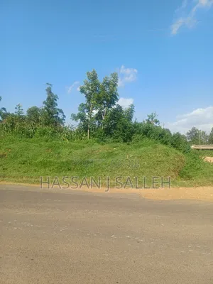 100fts by 100fts Plot 4 SALE.