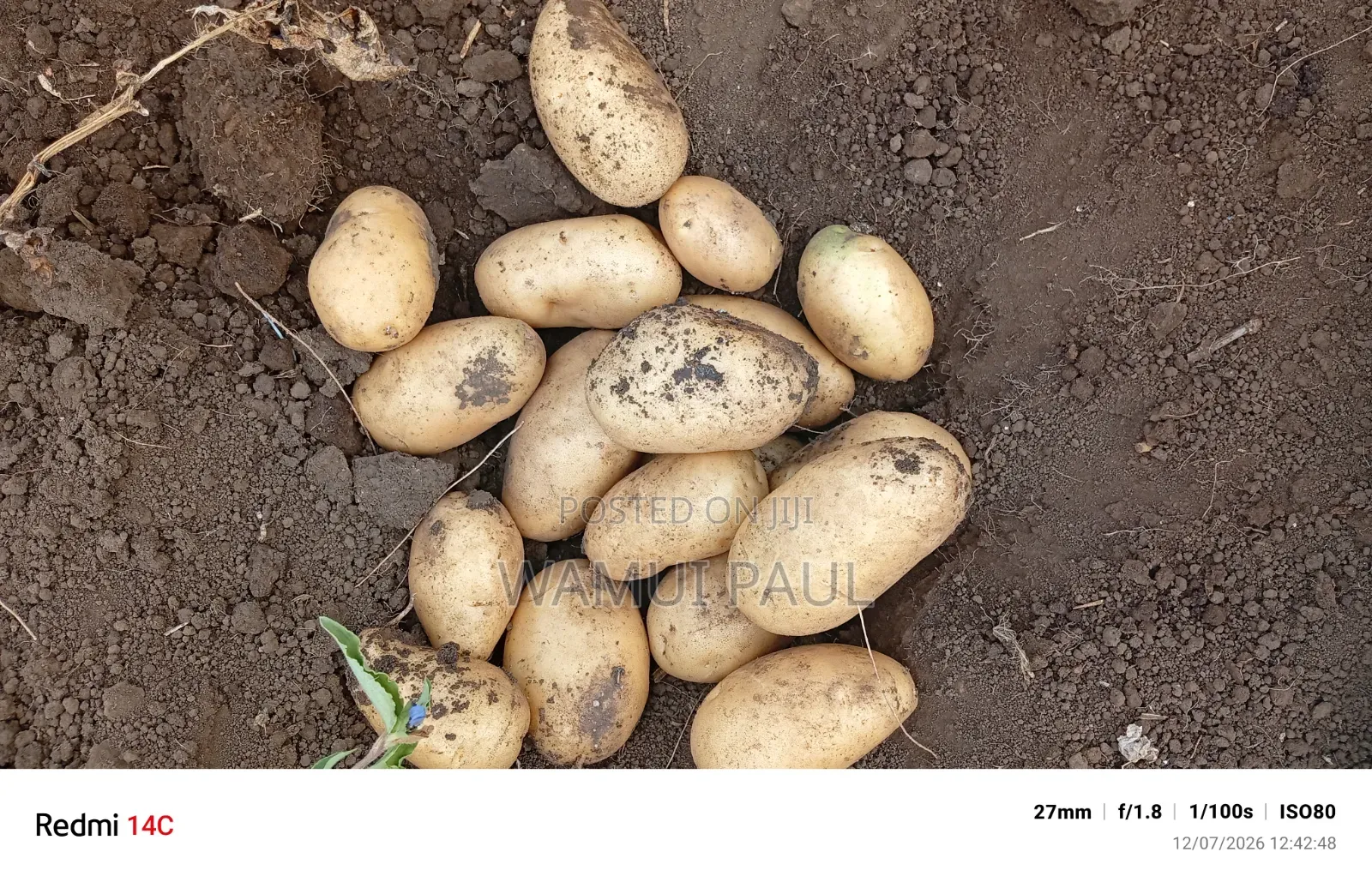 Selling Potatoes