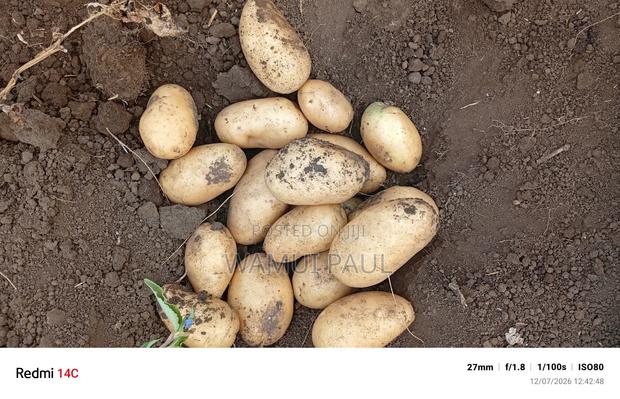 Selling Potatoes
