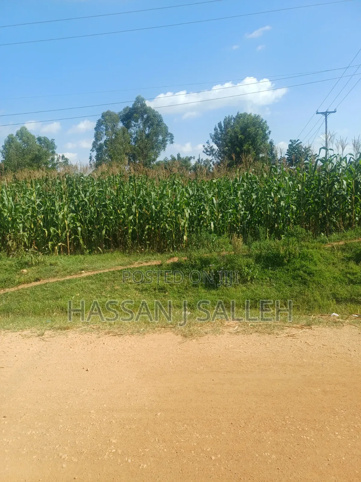 1/4acre Ekero