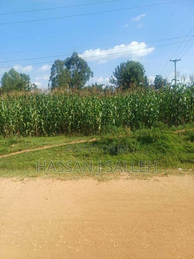 1/4acre Ekero - thumbnail 2
