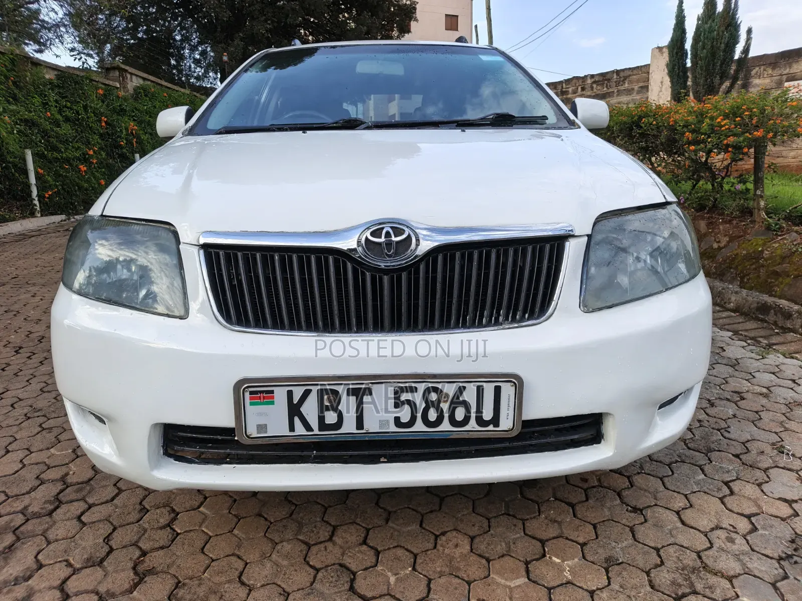Toyota Corolla Fielder 2006 White
