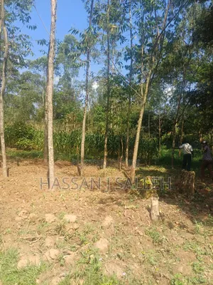1acre Khwisero on Sale.