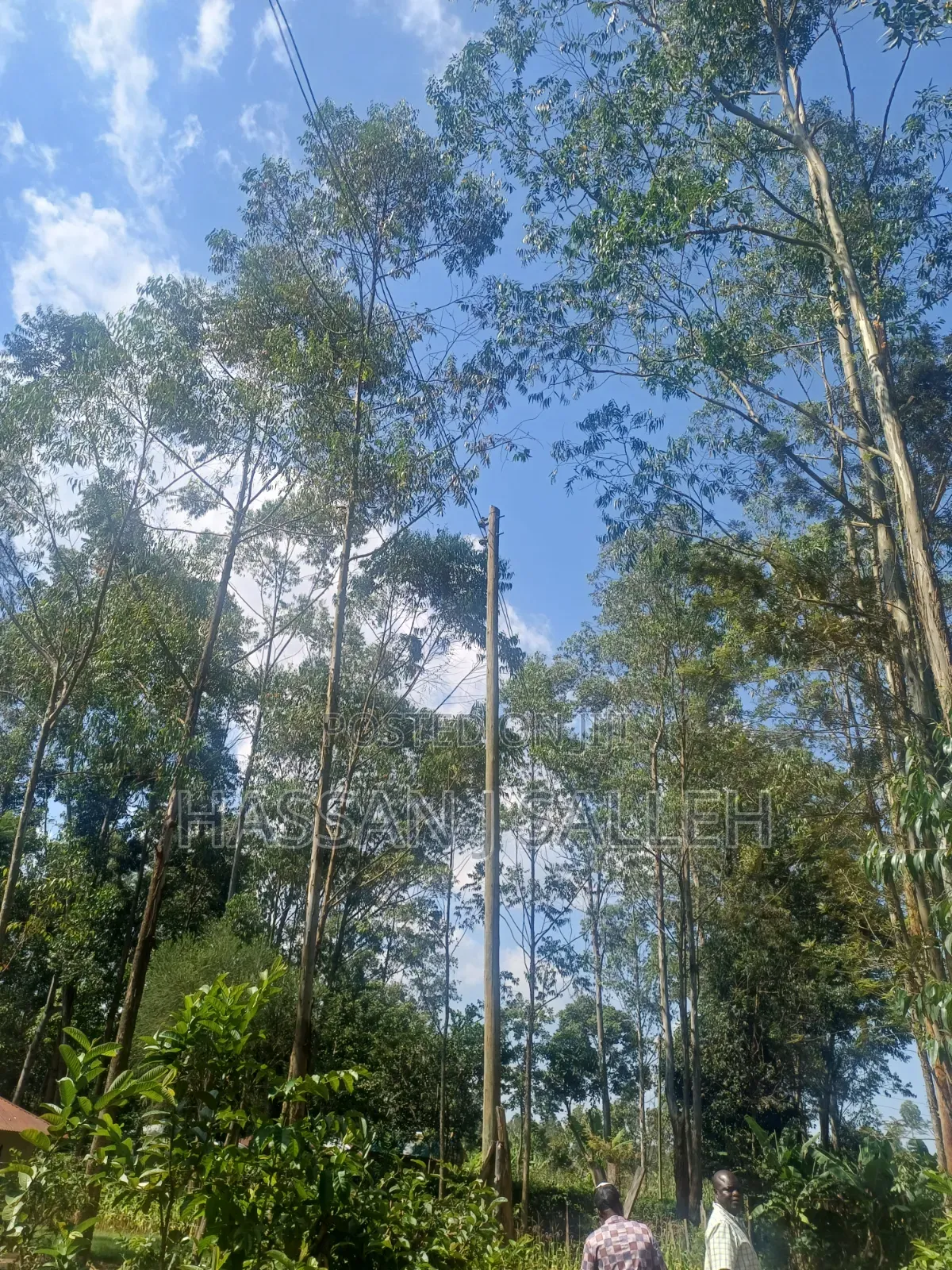 1acre Khwisero on Sale.