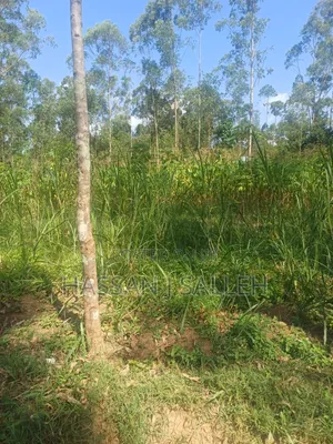 1acre Khwisero on Sale.