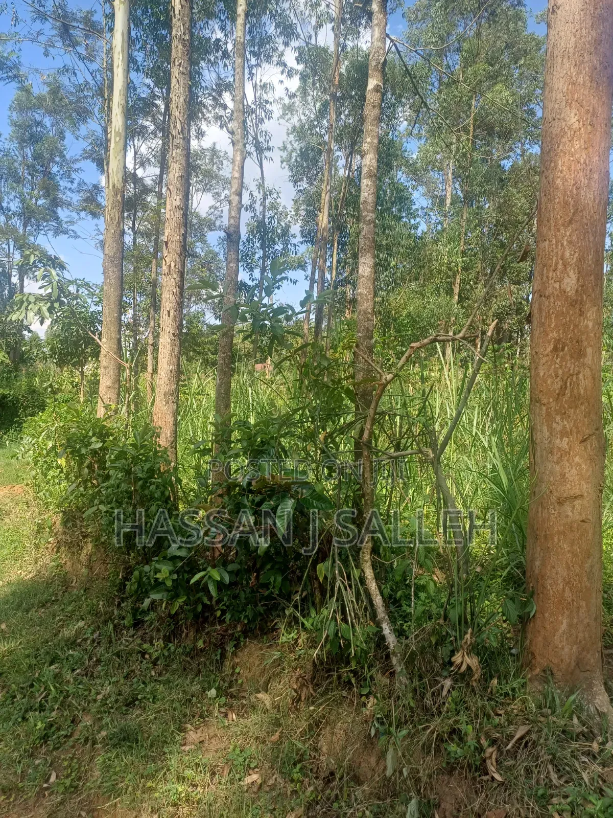 1acre Khwisero on Sale.