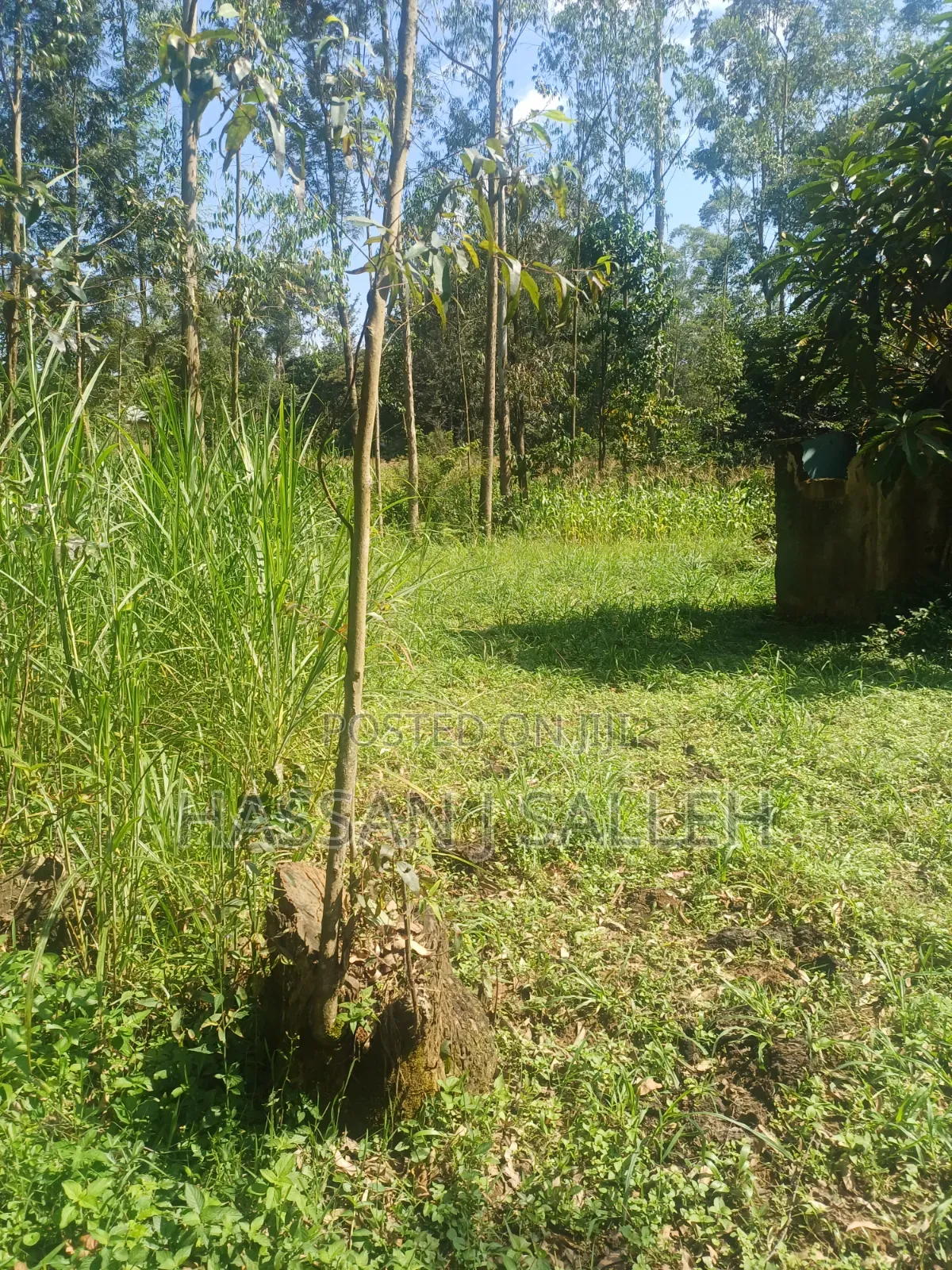 1acre Khwisero on Sale.