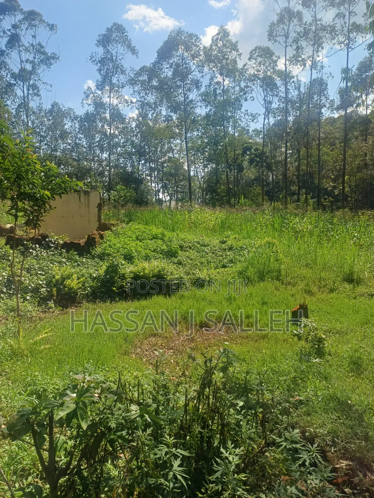 1acre Khwisero on Sale.