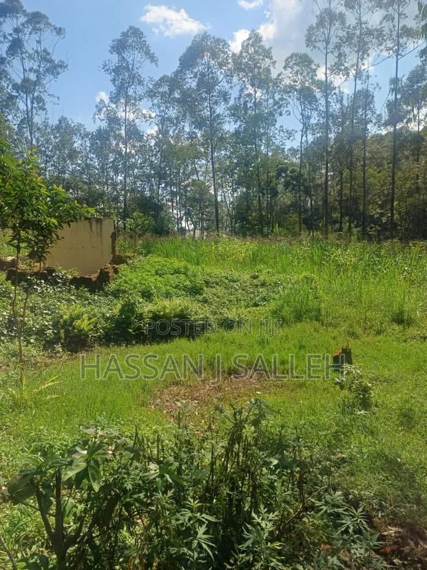 1acre Khwisero on Sale. - thumbnail 8